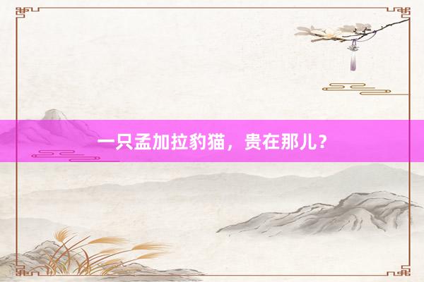 一只孟加拉豹猫，贵在那儿？
